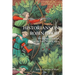 Historians on Robin Hood: The Outlaw's Legend in the Later Middle Ages