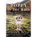 Poppy in the Wild: A Lost Dog, Fifteen Hundred Acres of Wilderness, and the Dogged Determination That Brought Her Home