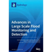 Advances in Large Scale Flood Monitoring and Detection