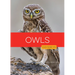 Owls