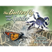 The Butterfly and the Spider