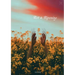Rot & Ripening