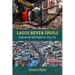 Lagos Never Spoils: Nollywood and Nigerian City Life