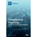 Comparative Hagiology: Issues in Theory and Method