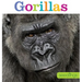 Seedlings: Gorillas