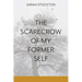 The Scarecrow of My Former Self