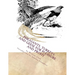 Pheasants, Turkeys and Geese for Pleasure and Profit: Raising Pheasants Book 5