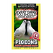 Everything You Should Know About: PIGEONS Faster Learning Facts