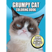 Grumpy Cat Coloring Book