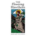 The Flowering Hawthorn