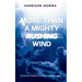 More Than A Mighty Rushing Wind
