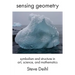 Sensing Geometry: Symbolism and Structure in Art, Science, and Mathematics