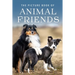 The Picture Book of Animal Friends: A Gift Book for Alzheimer's Patients and Seniors with Dementia
