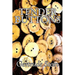 Tender Buttons by Gertrude Stein, Fiction, Literary, LGBT, Gay