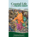 Coastal Life of the Pacific Coast: Discover Tidepools and Identify Beachcombing Finds and Iconic Wildlife