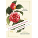 A Victorian Flower Dictionary: The Language of Flowers Companion