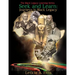 Seek and Learn: Journeys in Black Legacy