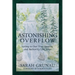 Astonishing Overflow: Living in Our True Identity and Authority Like Jesus