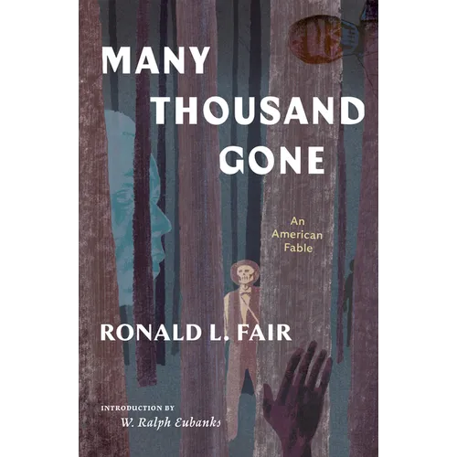 Many Thousand Gone: An American Fable