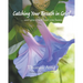 Catching Your Breath in Grief: ...and grace will lead you home