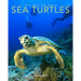 Sea Turtles: Amazing Pictures & Fun Facts on Animals in Nature