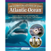 Awesome Creatures of the Atlantic Ocean: Learn about Animals Including the Great White Shark, Sea Turtles, and Dolphins!