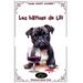 Les bêtises de Lili