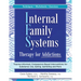 Internal Family Systems Therapy for Addictions: Trauma-Informed, Compassion-Based Interventions for Substance Use, Eating, Gambling and More