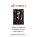 Afterness: Figures of Following in Modern Thought and Aesthetics