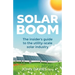 Solar Boom: The Insider's Guide to the Utility - Scale Solar Industry