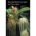 Bulbophyllums and Their Allies