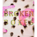 Broken Boxes: A Decade of Art, Action, and Dialogue