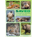 Saved: Endangered Species Success Stories
