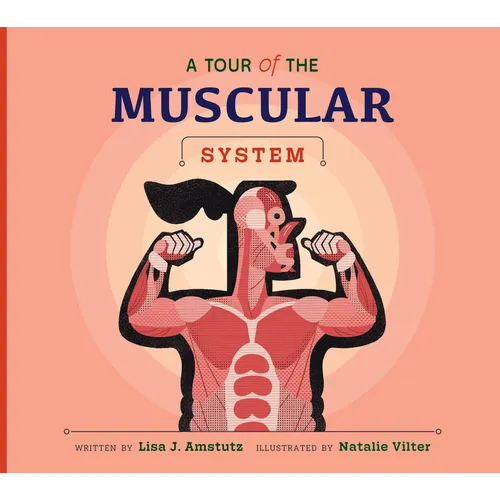 A Tour of the Muscular System