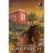 The Black Cat Steps on a Crack