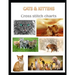 Cats & Kittens Cross Stitch Charts: Six cross stitch charts with easy to follow symbols and keys featuring both domestic and wild cats in a LARGE 8.5"