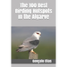 The 100 Best Birding Hotspots in the Algarve