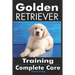 Golden Retriever Training: Complete Care