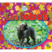 Los Lobos (Wolves)