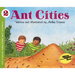 Ant Cities
