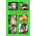 On the Farm: Meet the working animals on a farm.