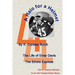 A Halo For A Helmet: The Whole Story Of Ernie Davis
