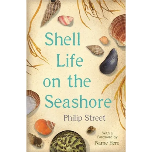 Shell Life on the Seashore