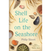 Shell Life on the Seashore