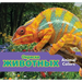 Окраска животных/Animal Colors (Russian)