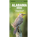 Alabama Birds: An Introduction to Familiar Species