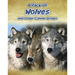 A Pack of Wolves: And Other Canine Groups