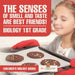 The Senses of Smell and Taste Are Best Friends! - Biology 1st Grade Children's Biology Books