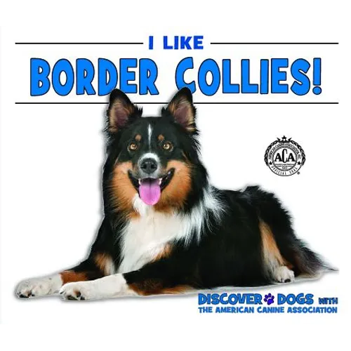I Like Border Collies!