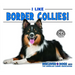 I Like Border Collies!